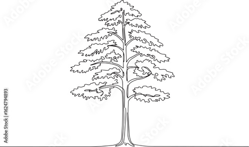 Elegant outline of a solitary redwood tree with intricate branch