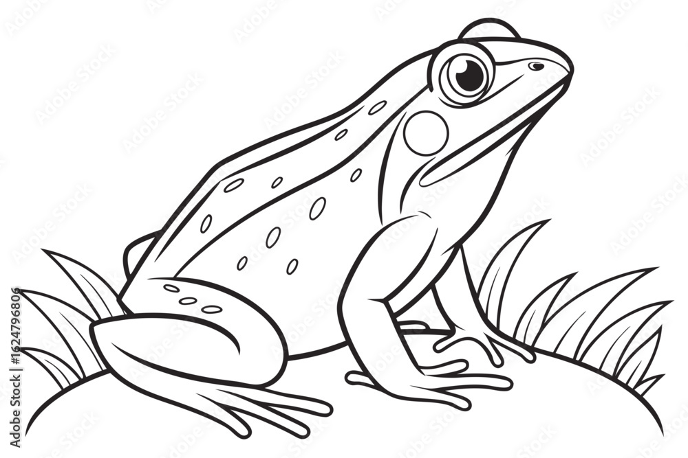 Naklejka premium coloring page line art the frog black vector