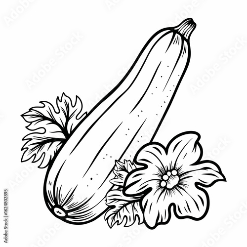 Monochrome line drawing of a whole zucchini with blossom and parsley leaves, symbolizing freshness, garden harvest, and natural produce
