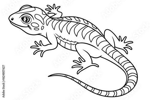 coloring page line art the gecko black vector