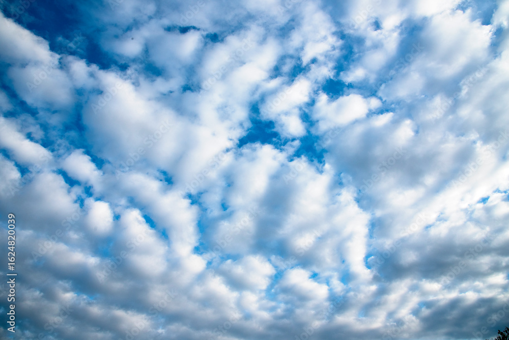 Obraz premium Blue sky fluffy white clouds on summer season bright clear skyline with beautiful cloudscape. Panorama blue sky clouds pattern on daylight with copy space. Cumulus cloudscape air climate sunny day