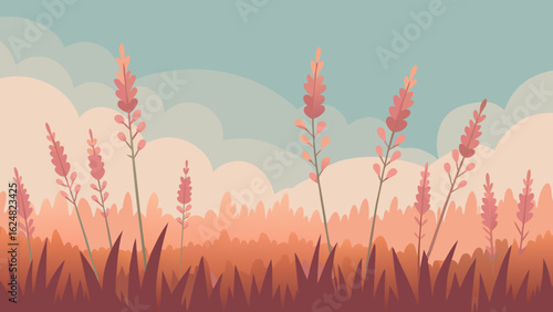 field of heather closeup