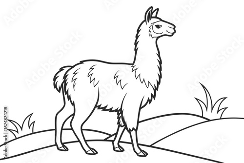 coloring page line art the alpaca black vector