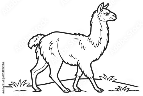 coloring page line art the alpaca black vector