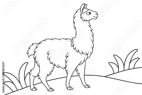 coloring page line art the alpaca black vector
