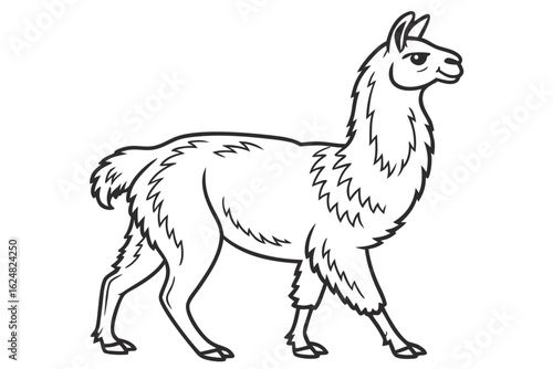 coloring page line art the alpaca black vector