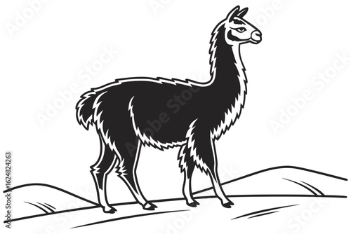 coloring page line art the alpaca black vector