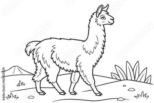coloring page line art the alpaca black vector