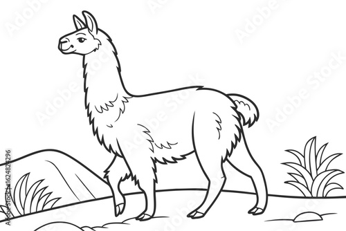 coloring page line art the alpaca black vector