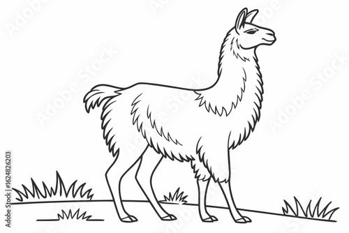 coloring page line art the llama black vector