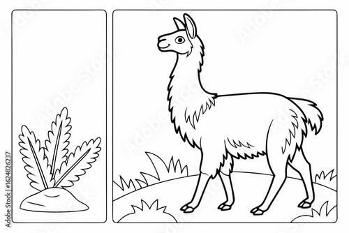 coloring page line art the llama black vector