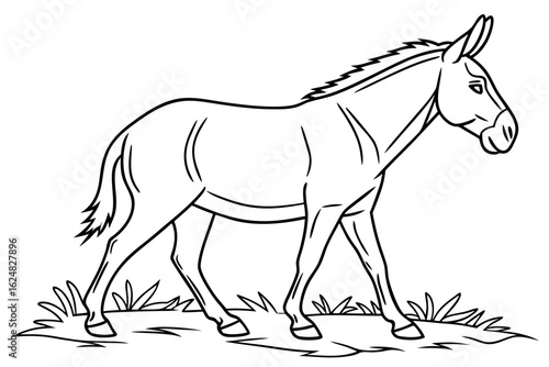 coloring page line art the mule black vector