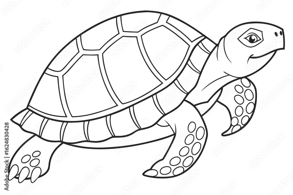 Fototapeta premium coloring page line art the painted turtle black vector