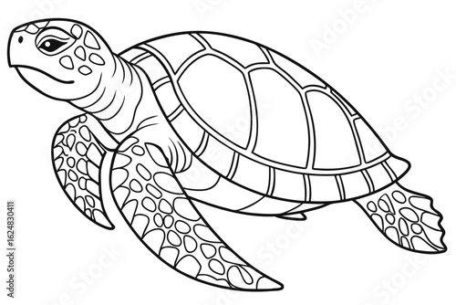 coloring page line art the painted turtle black vector