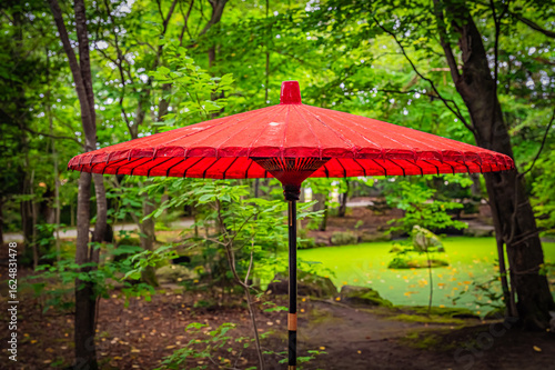 Wallpaper Mural 北海道　帯広市　帯廣神社の花手水 Torontodigital.ca
