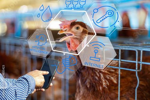 Smart Farm concept with a farmer using a smartphone and AI to manage a poultry farm.