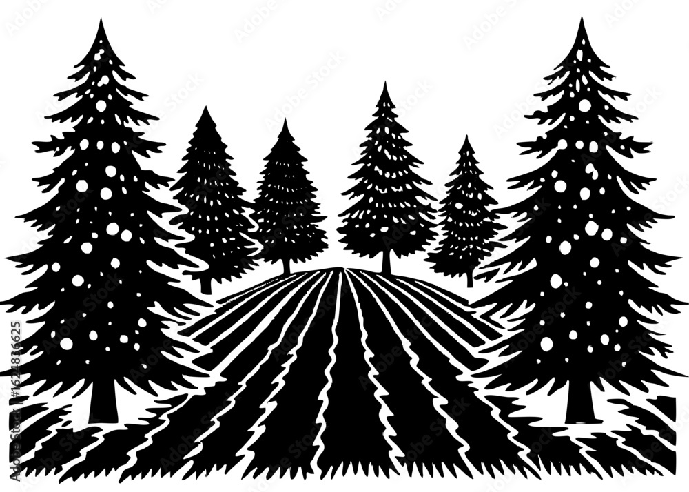 Obraz premium Christmas Tree Farm with Pine Rows – Nature Silhouette