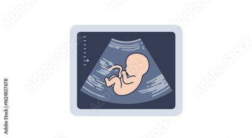 Ultrasound displaying fetus for medical or educational purposes on white