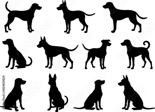 Dog Silhouettes Collection vector bundle