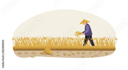 Rice harvest Farmer cutting crop, field in background. Agriculture content