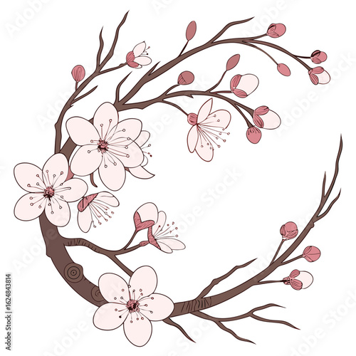Illustration of a circular arrangement of cherry blossom branches with pink buds and white flowers art