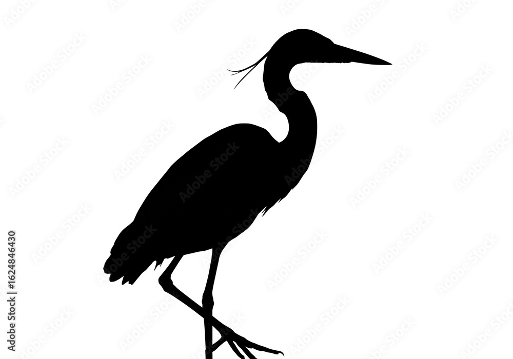 Obraz premium Silhouette of a heron standing on one leg against a stark white isolated background view