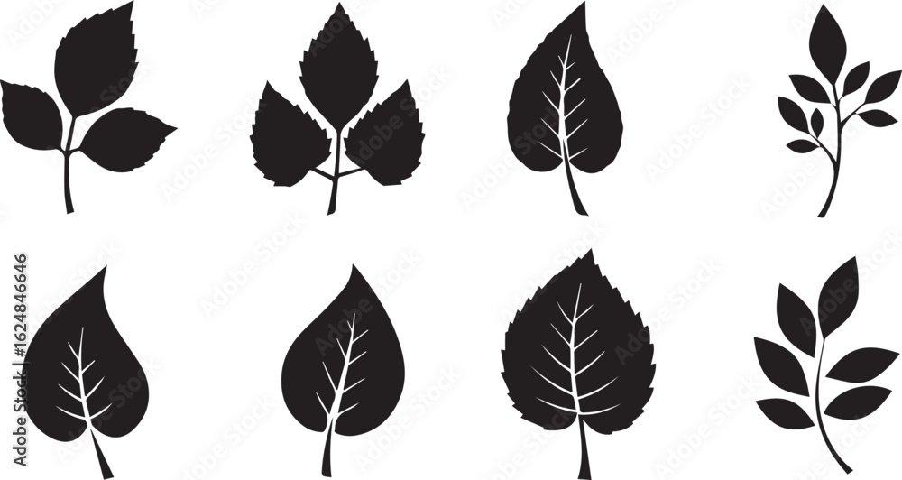 Obraz premium Silhouette Collection of Diverse Plant Leaves on White Background Keywords: leaves, plant leaves, silhouette, black, white background, nature, botanical, foliage, leaf shapes, organic, natural