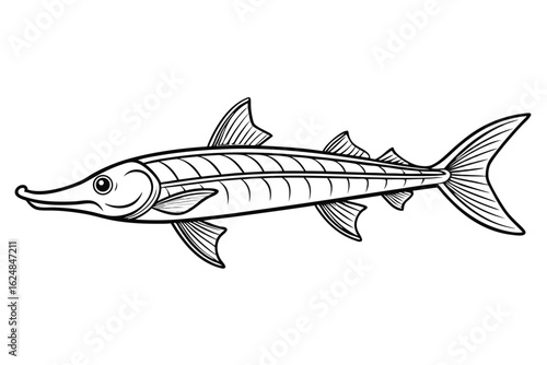 coloring page line art the paddle fish black vector