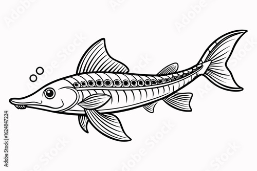 coloring page line art the paddle fish black vector