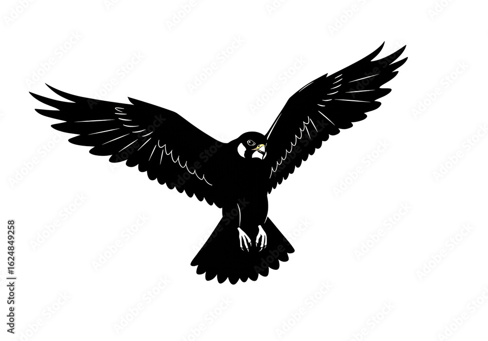 Fototapeta premium A black silhouette of a bird with its wings spread wide against a white background