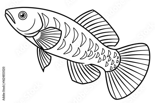 coloring page line art the killifish black vector (1) 