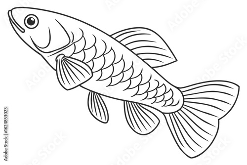 coloring page line art the killifish black vector (1) 
