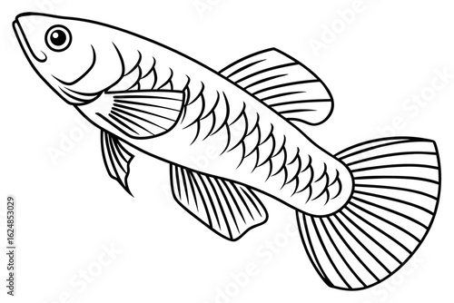 coloring page line art the killifish black vector (1) 