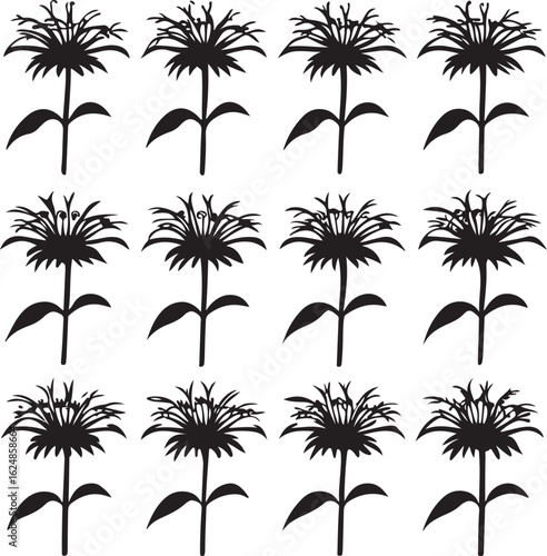 Shaggy Wildflower Silhouette Repeat Pattern