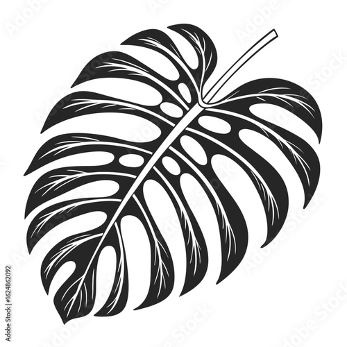 Elegant black Monstera leaf with distinctive holes and vein patterns is on transparent background