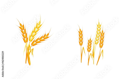 Set of golden wheat grain vector logo