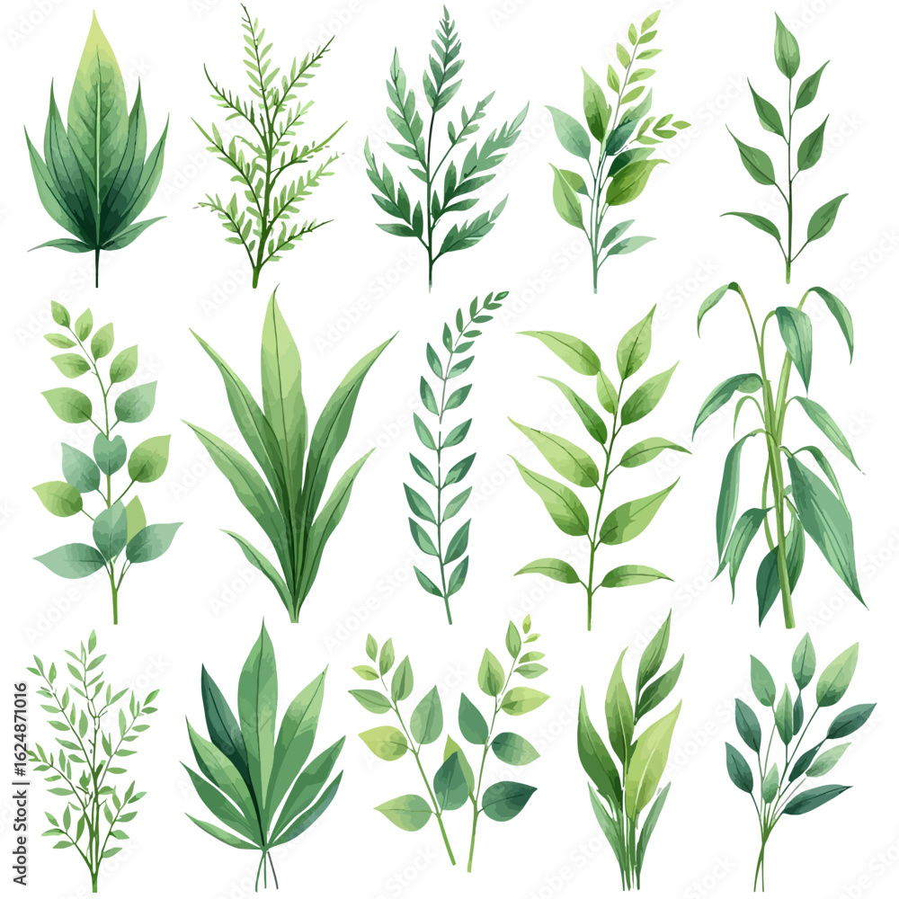 Fototapeta premium A beautiful collection of watercolor green leaves and branches. Botanical illustration set of diverse foliage isolated on a white background.