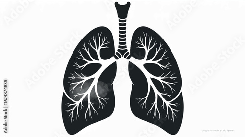 Minimalist black and white silhouette illustration of human lungs for medical design