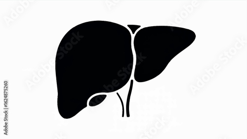 Black silhouette illustration of a human liver on a clean white background