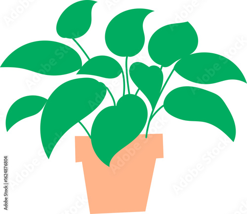 Tropical plants in simple colored pots