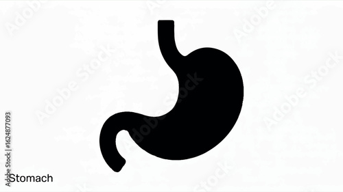 Minimalist black and white human stomach medical icon for healthcare and anatomy illustrations