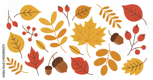 Autumn leaves berries and acorns fall