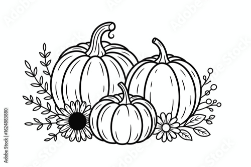 Autumn pumpkins and flowers line art fall gourds