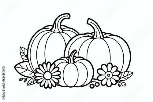 Autumn pumpkins and flowers line art fall gourds