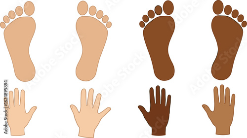 Diverse hands and feet prints, a colorful vector illustration symbolizing human diversity, multiculturalism, inclusivity, and the various races and ethnicities of humanity.