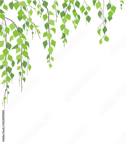 Side Corner  Border  with Green Birch Branches