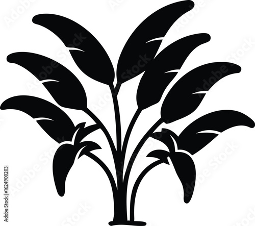 banana plants line art silhouette