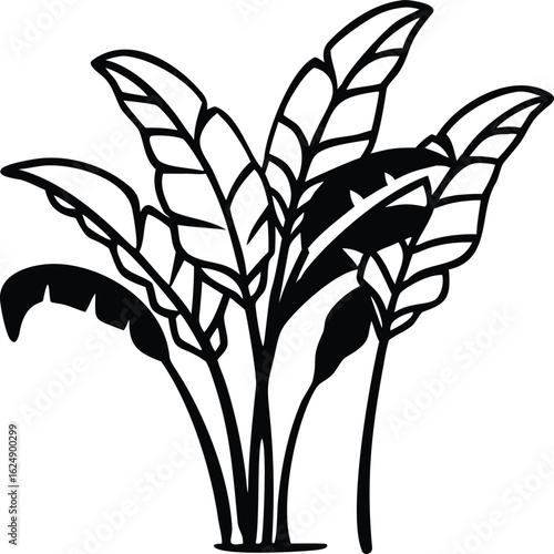 banana plants line art silhouette