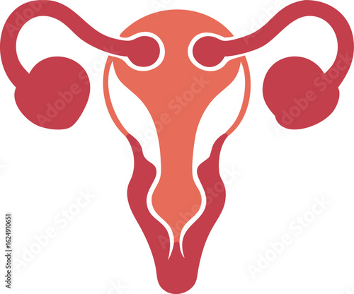 female reproduction system anatomy silhouette