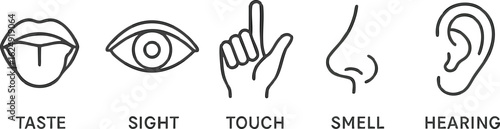 Five senses diagram sight hearing touch smell taste human perception sensory organs body parts sense of feeling